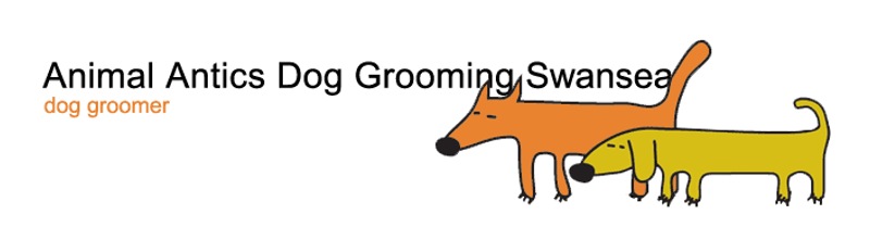 Animal Antics Dog Grooming