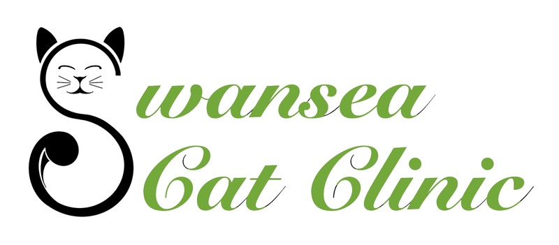 Swansea Cat Clinic